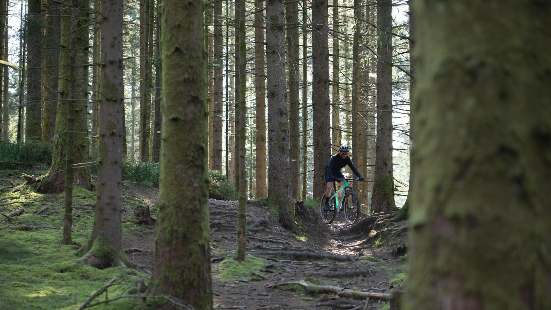 MTB ROMÂNIA – SĂNĂTATE ȘI BUNĂ DISPOZIȚIE PE DOUĂ ROȚI