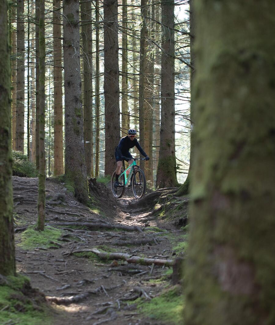 Comment bien régler ses suspensions ?