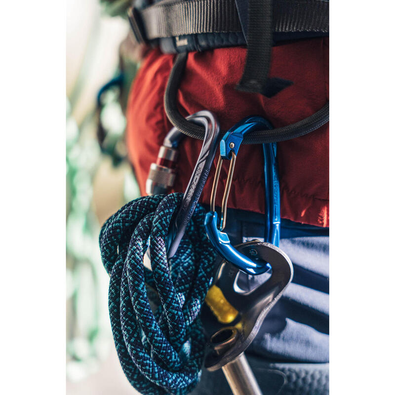 Carabinieră cu filet Escaladă/Alpinism Rocky M Albastru-Mov 