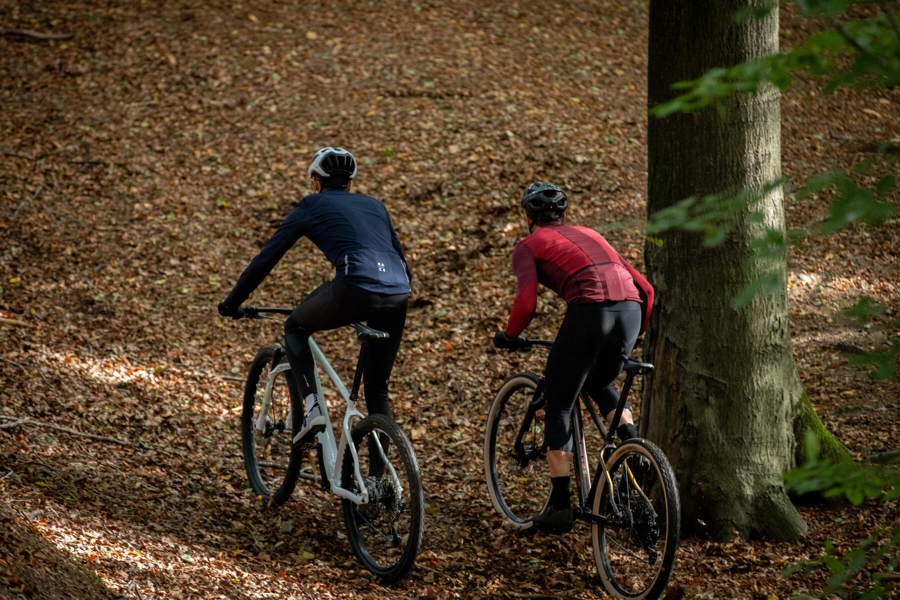 Rowerzyści jadący na rowerach mtb w lesie