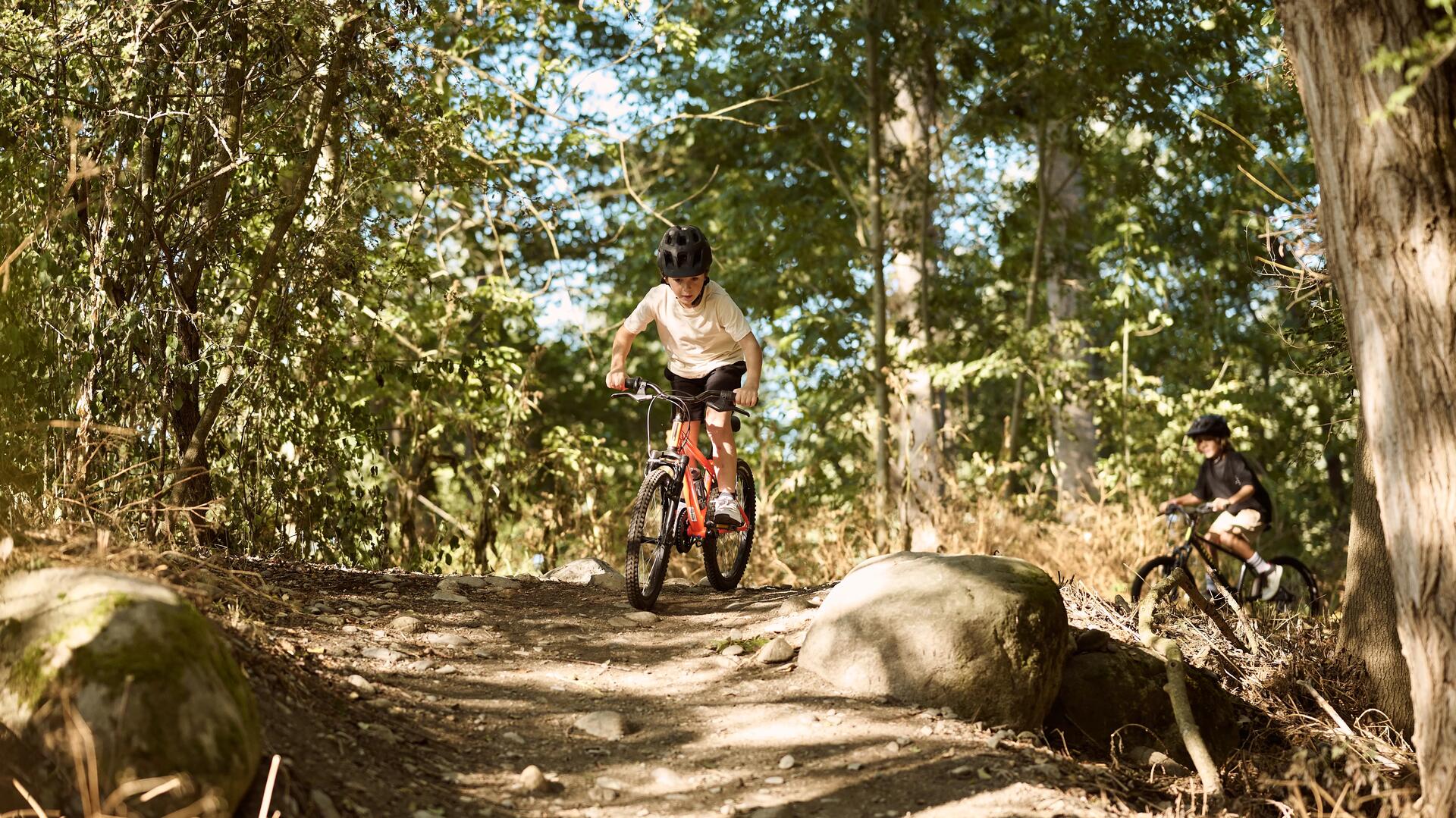 BTT ROCKRIDER 20 polegadas 500 preto