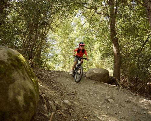 BENEFICIILE CICLISMULUI: DESCOPERĂ-LE DE LA A LA Z!