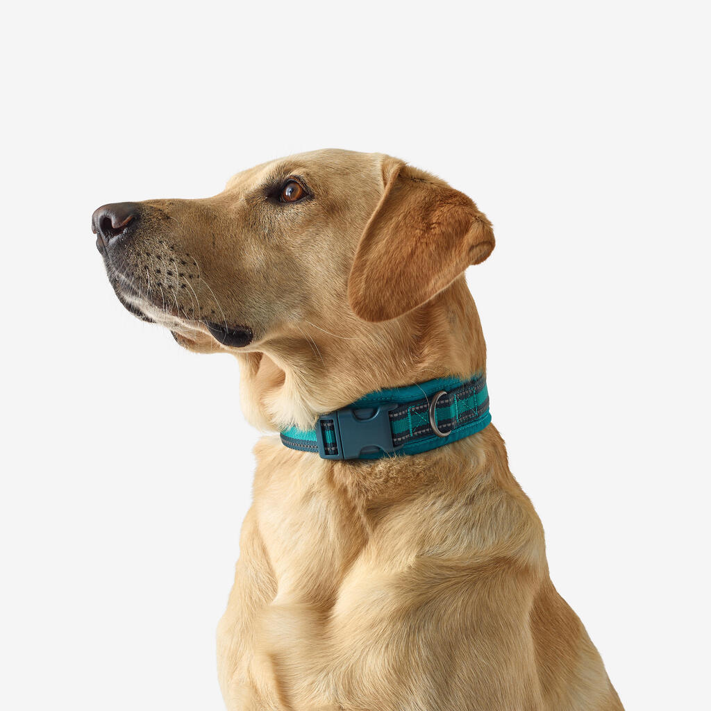 COLLIER CHIEN OUTDOOR BLEU 500