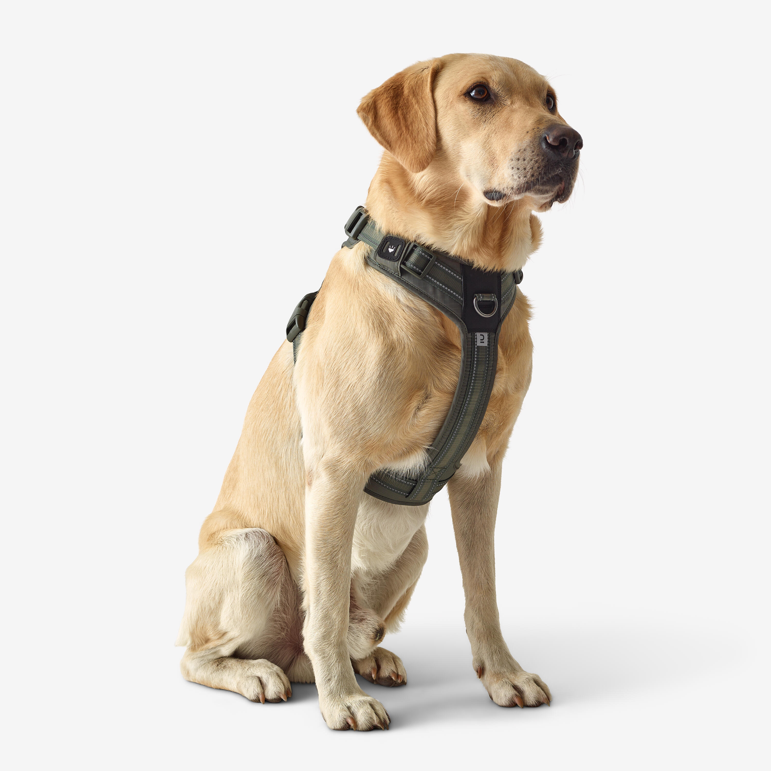 OUTDOOR 500 KHAKI DOG HARNESS