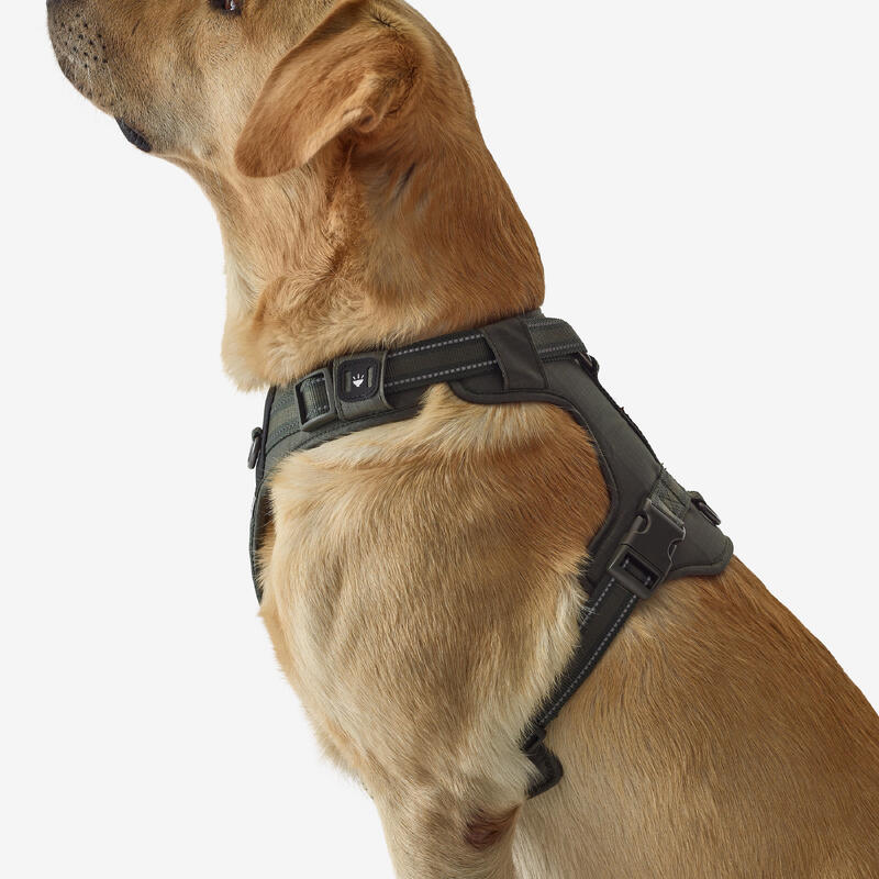 Outdoor Köpek Göğüs Tasması - Avcılık ve Doğa Gözlemi - Haki - 500