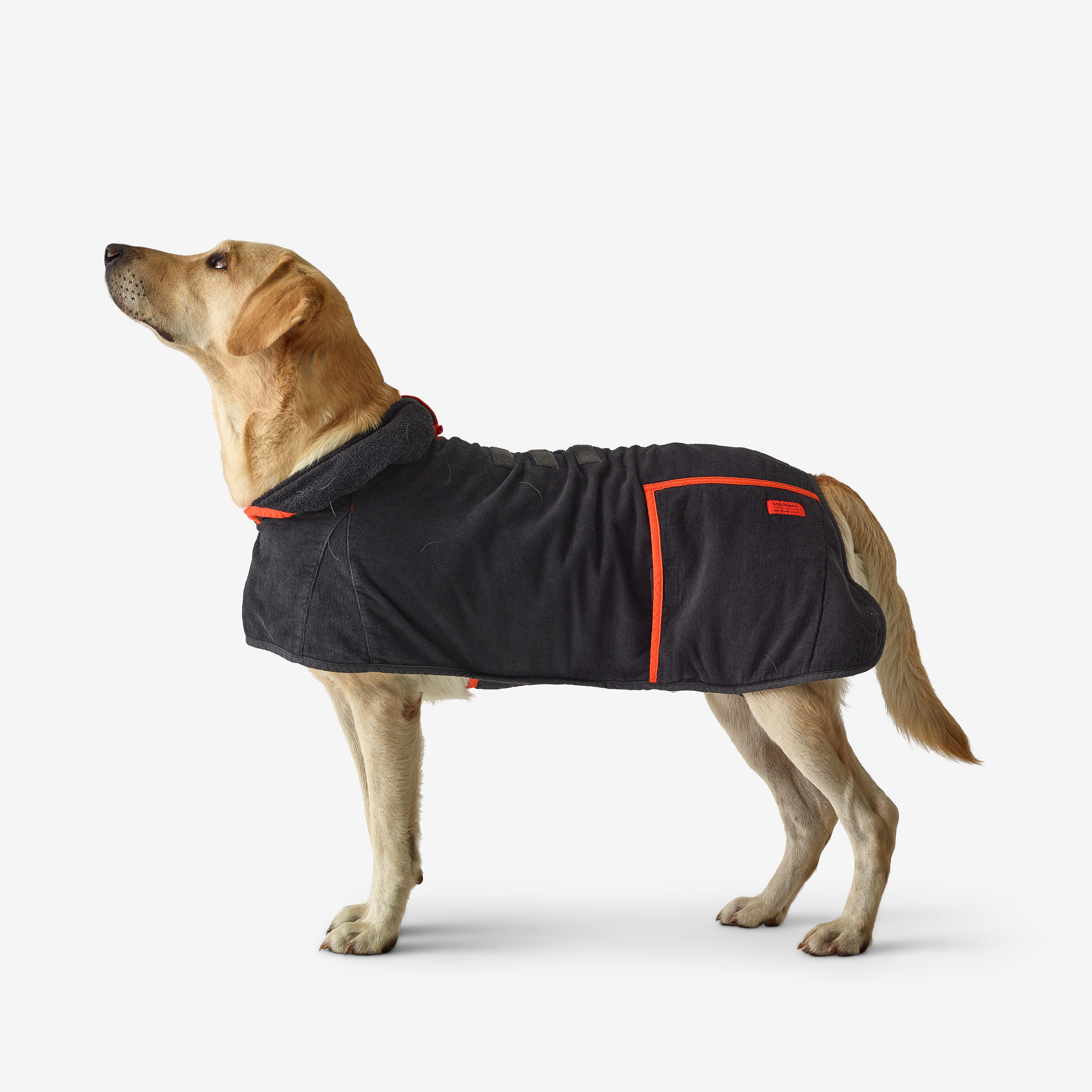 Albornoz Chaleco Perro Solognac Algodon Absorve Humedad Secante 4/11