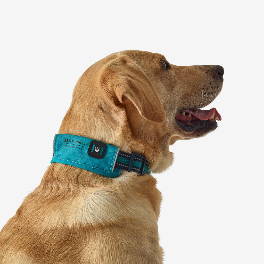 COLLIER CHIEN OUTDOOR BLEU 500