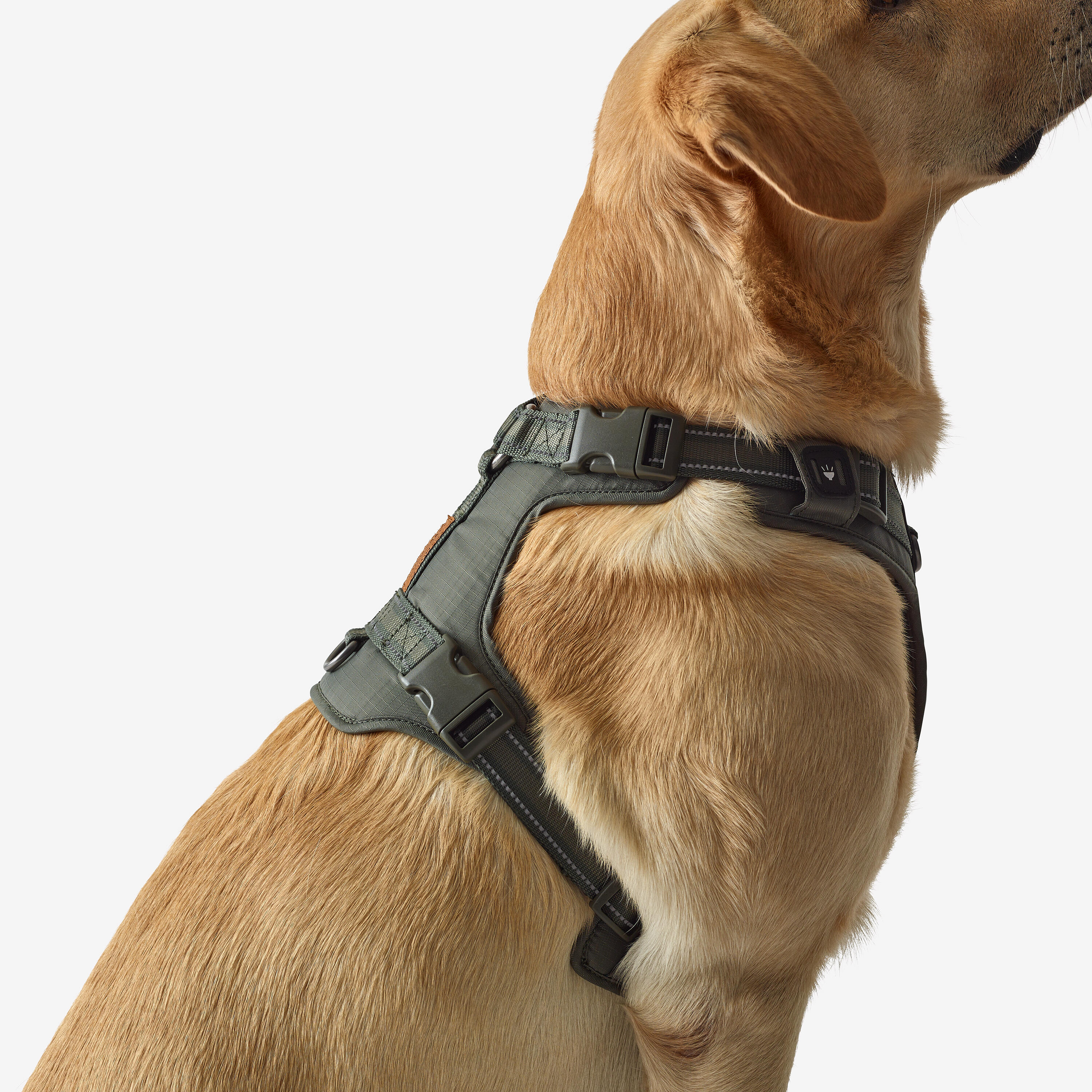 Harnais pour chien, 500 - CAPERLAN