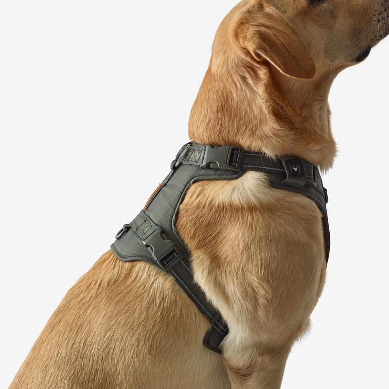 Outdoor Köpek Göğüs Tasması - Avcılık ve Doğa Gözlemi - Haki - 500