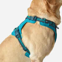 DOG HARNESS OUTDOOR 500 BLUE