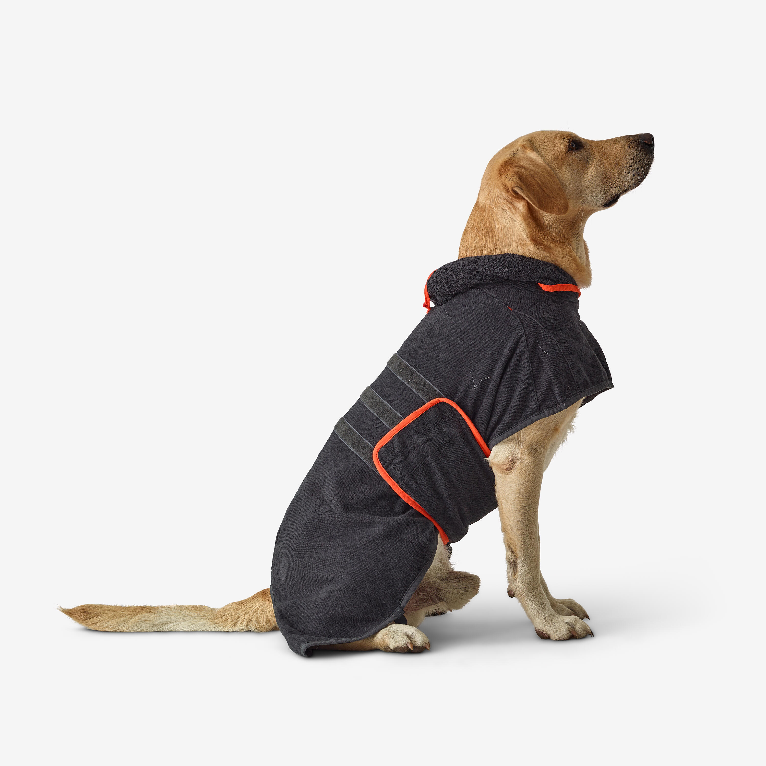 Solognac - Peignoir Pour Chien - Peignoir De Bain - Chasse Et Tir Sportif - Gris-orange - 40m - Decathlon