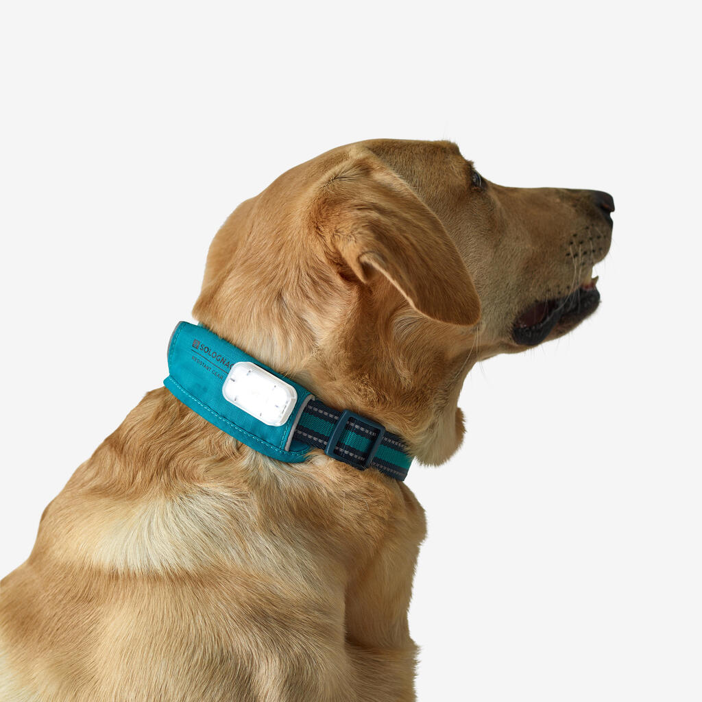COLLIER CHIEN OUTDOOR BLEU 500