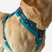 DOG HARNESS OUTDOOR 500 BLUE