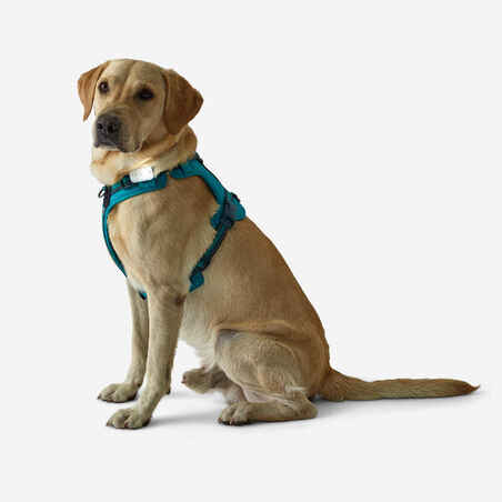 DOG HARNESS OUTDOOR 500 BLUE