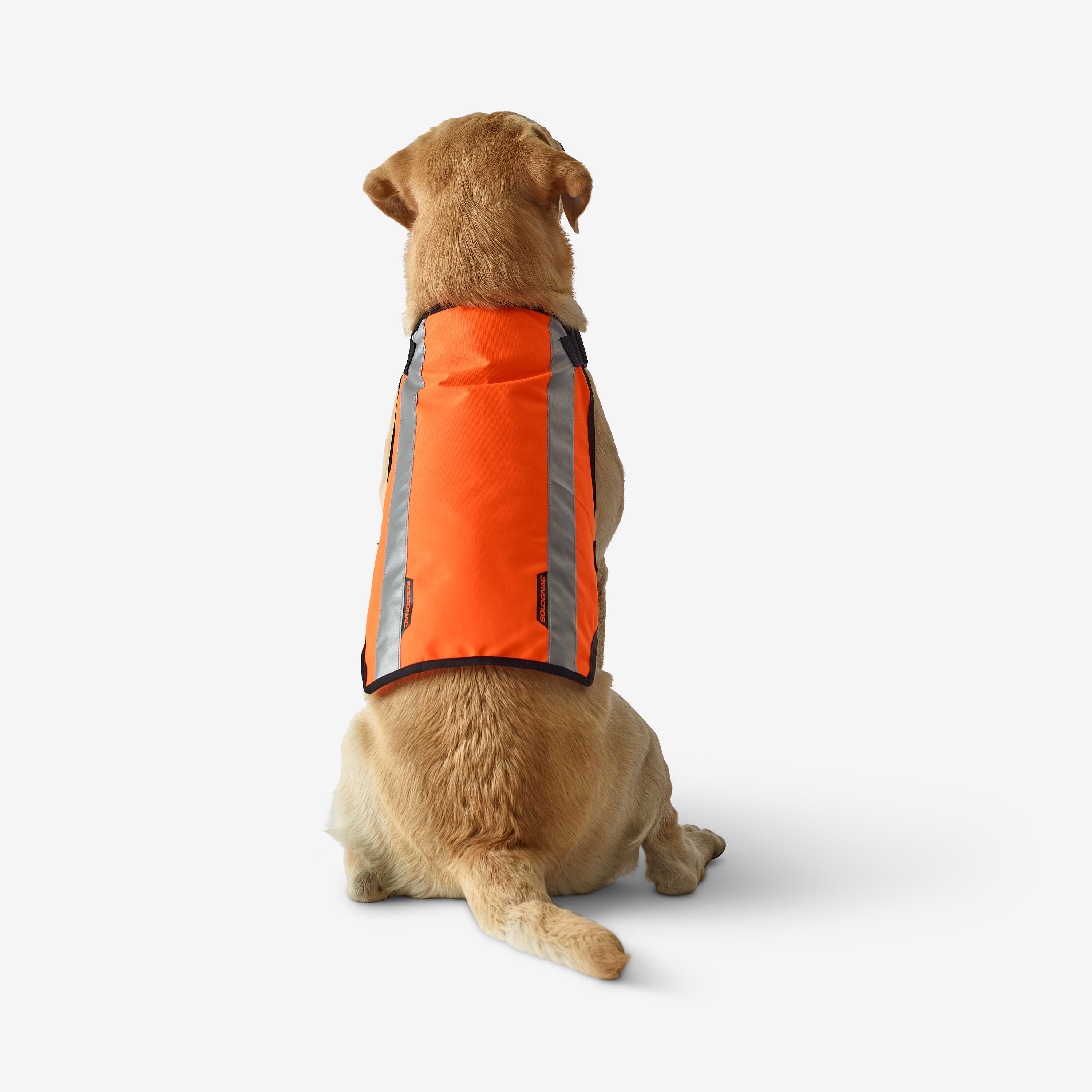 Gilet de chasse pour chien - 100 orange - SOLOGNAC