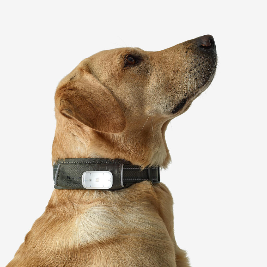 DOG COLLAR OUTDOOR KHAKI 500 ECO-DESIGNED