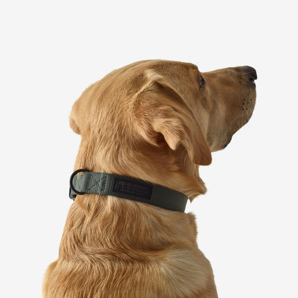 Hundehalsband 100 blau 