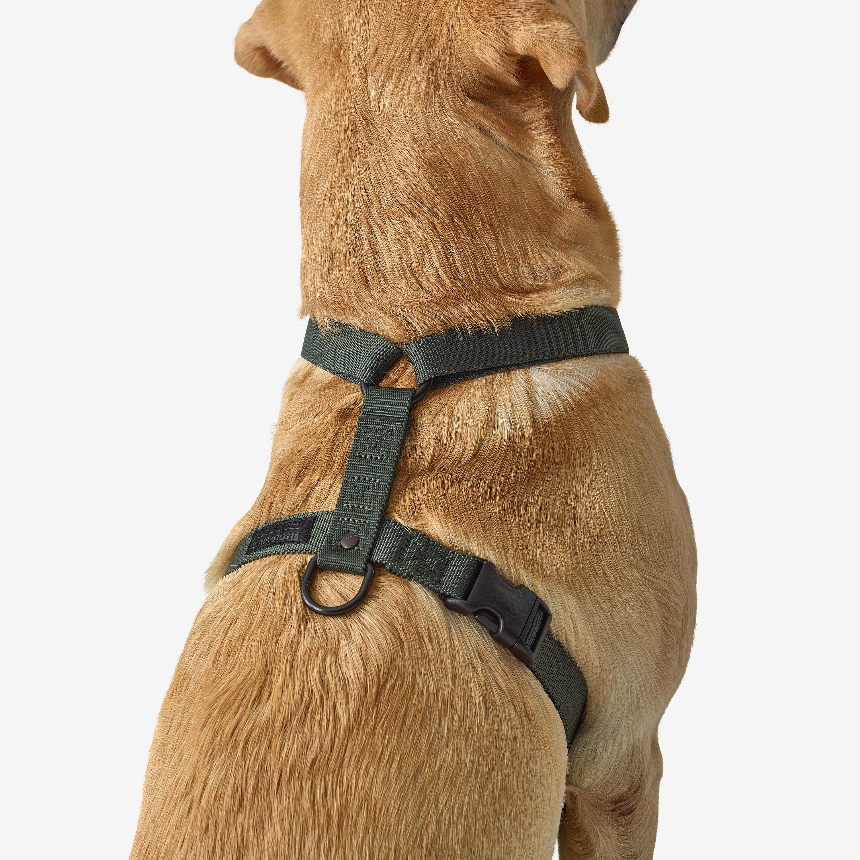 Dog harness green 100 3/7