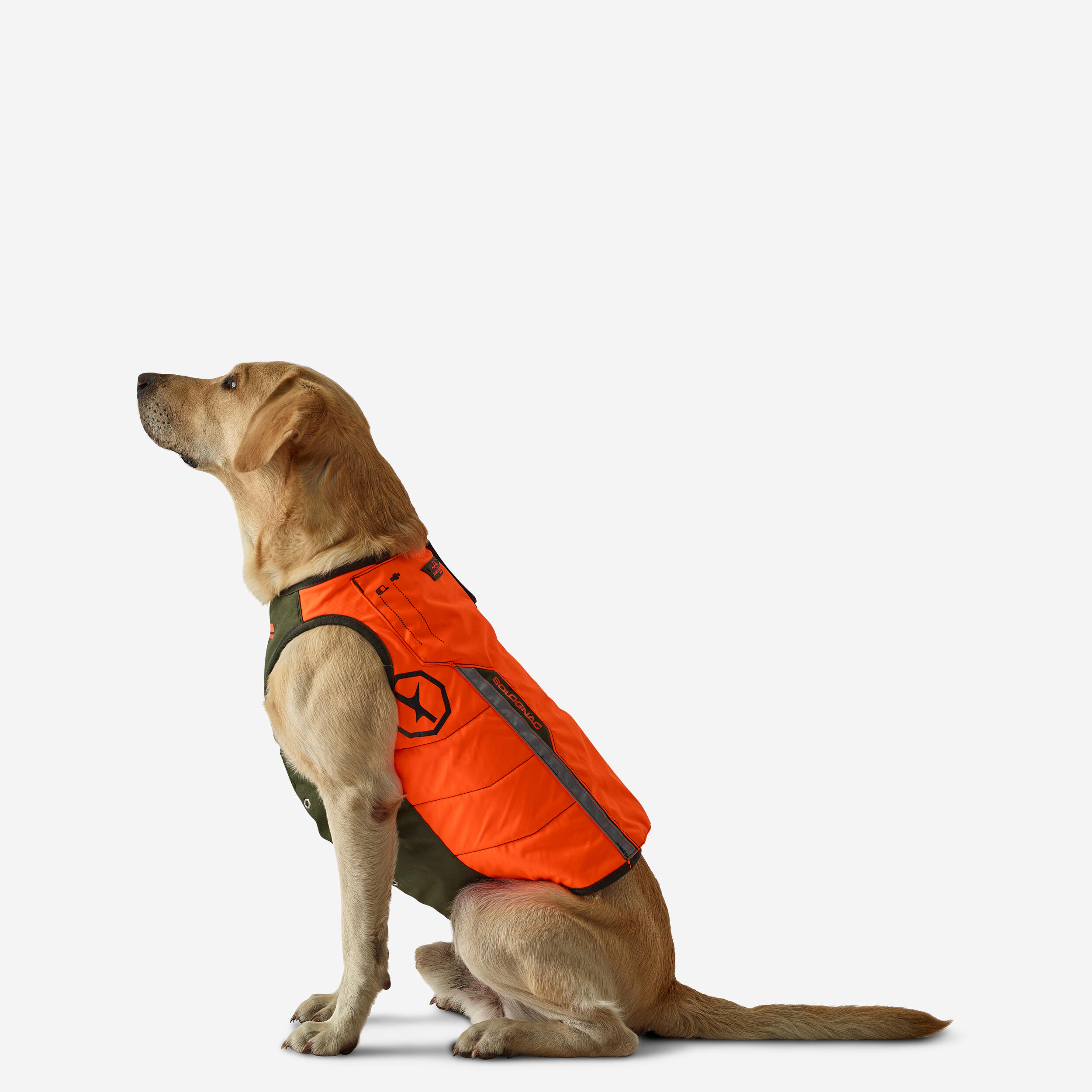 gilet de protection pour chien supertrack - solognac
