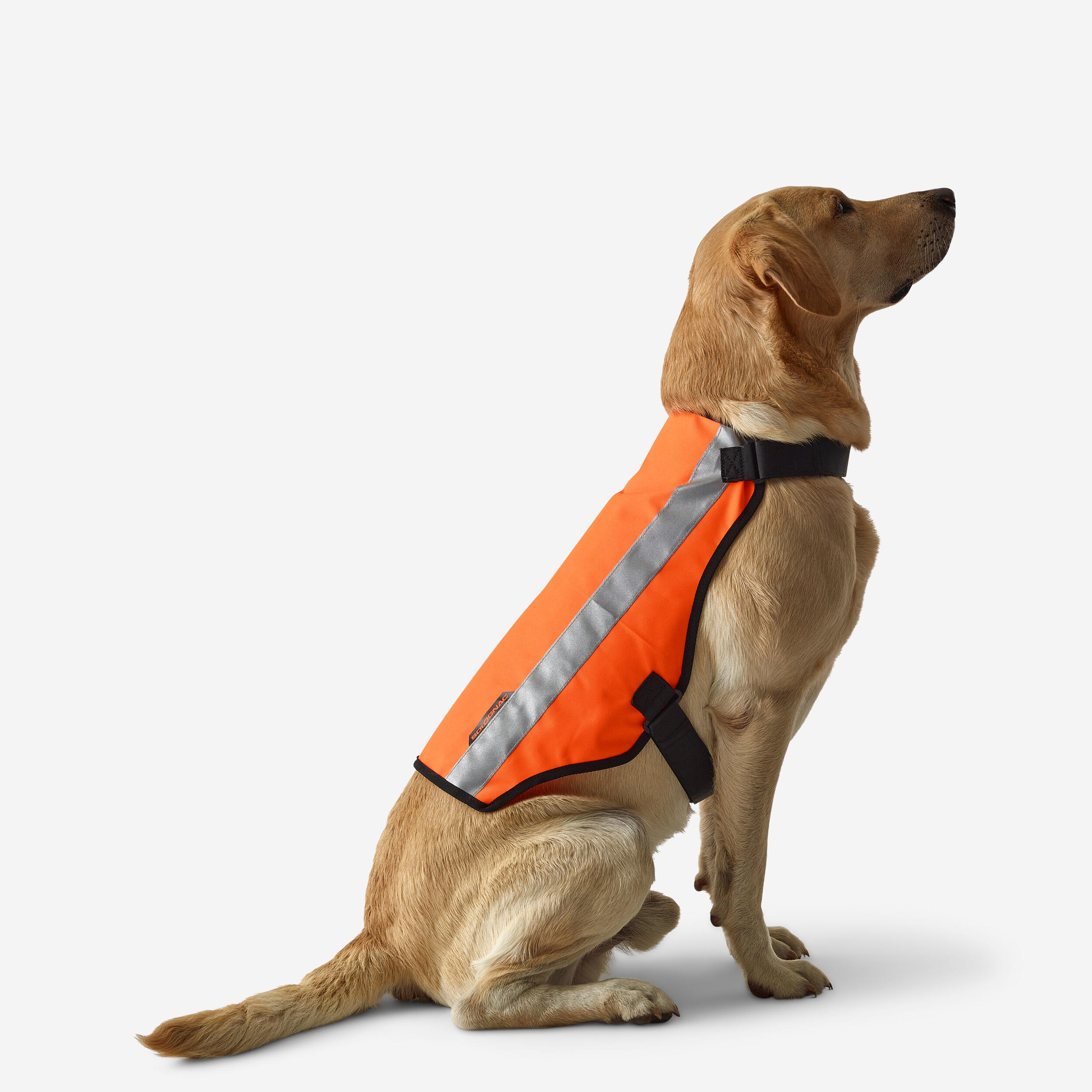 Gilet de chasse pour chien - 100 orange - SOLOGNAC