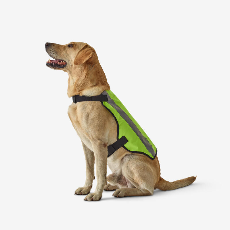 Gilet cane caccia 100 giallo