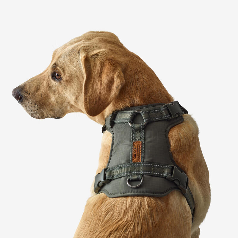 Outdoor Köpek Göğüs Tasması - Avcılık ve Doğa Gözlemi - Haki - 500