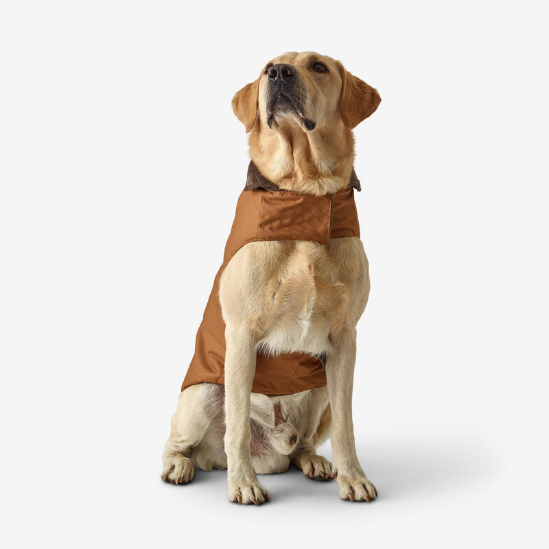 Gilet cane marrone