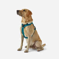 DOG HARNESS OUTDOOR 500 BLUE