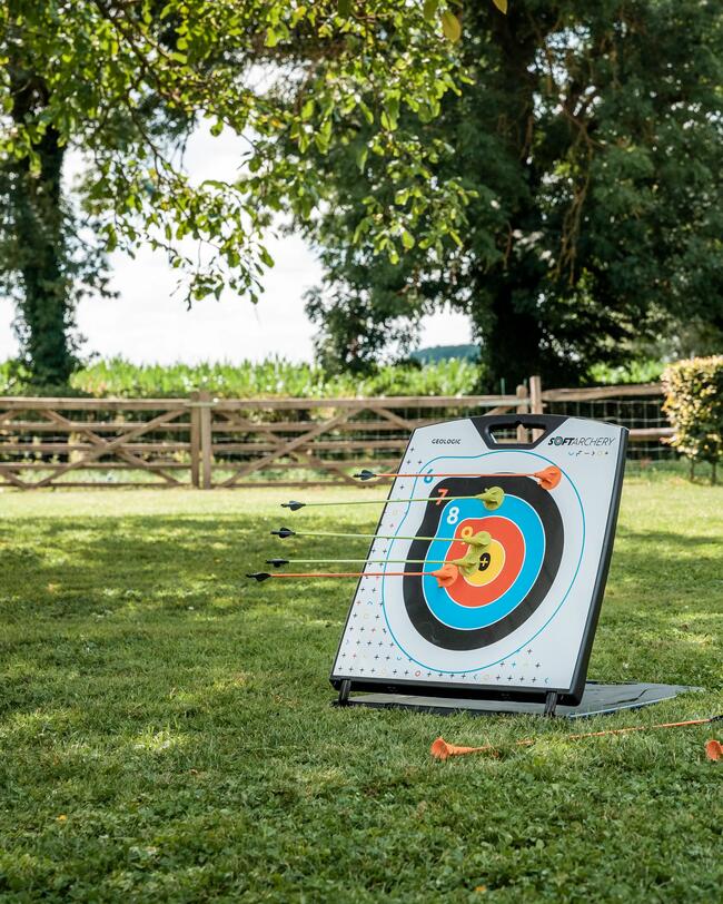 Die Zielscheibe steht aufgebaut in einem Garten. Mehrere Pfeile stecken auf ihr.