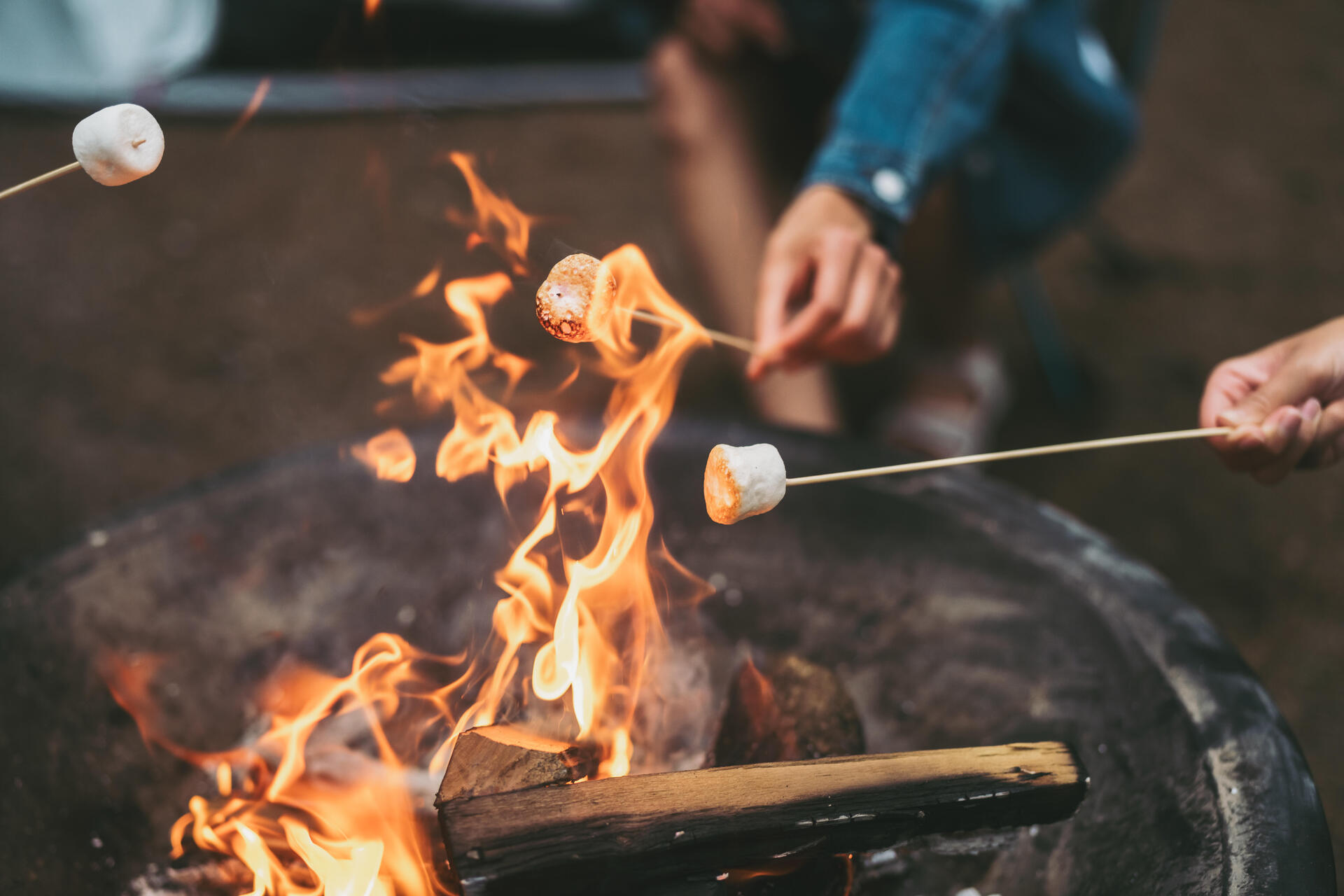 Ludzie pieczący na patykach pianki marshmallow na ognisku