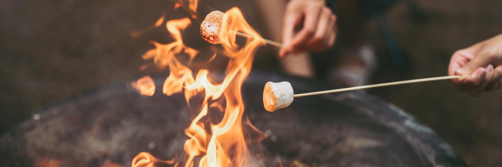 Ludzie pieczący na patykach pianki marshmallow na ognisku