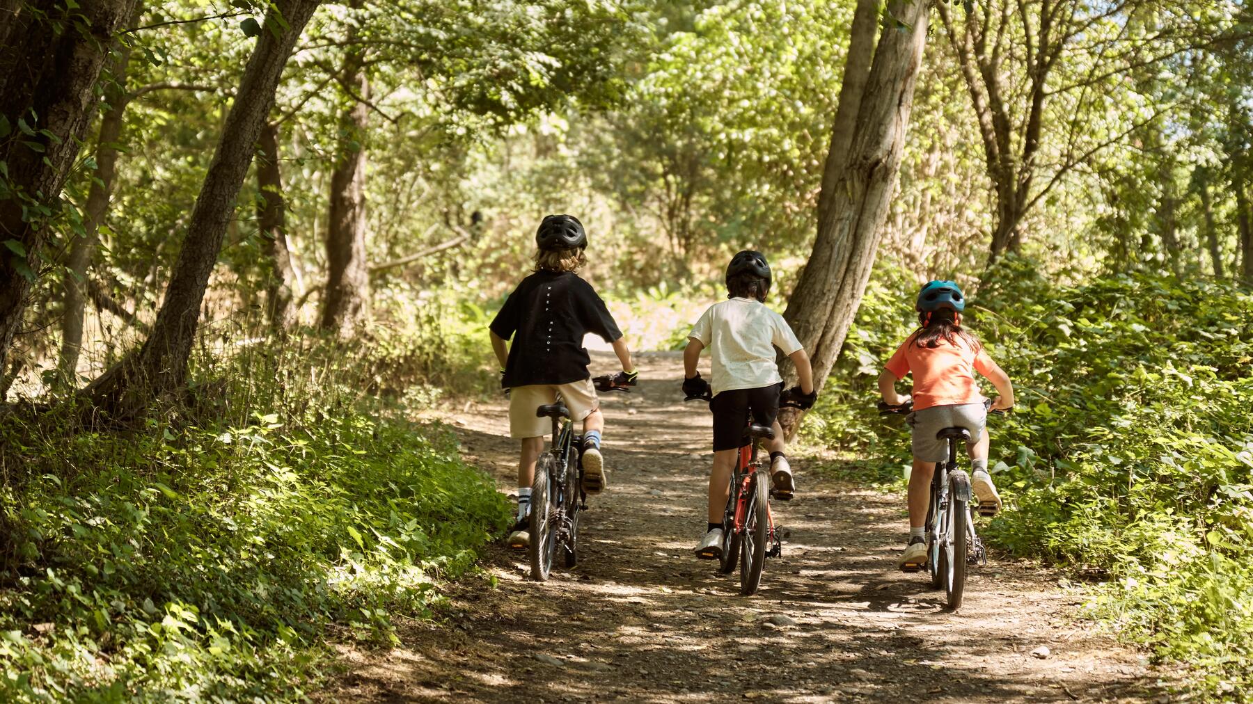 CIRCUIT VTT DANS LE MORBIHAN : PARTEZ À L'AVENTURE AVEC VOS ENFANTS !