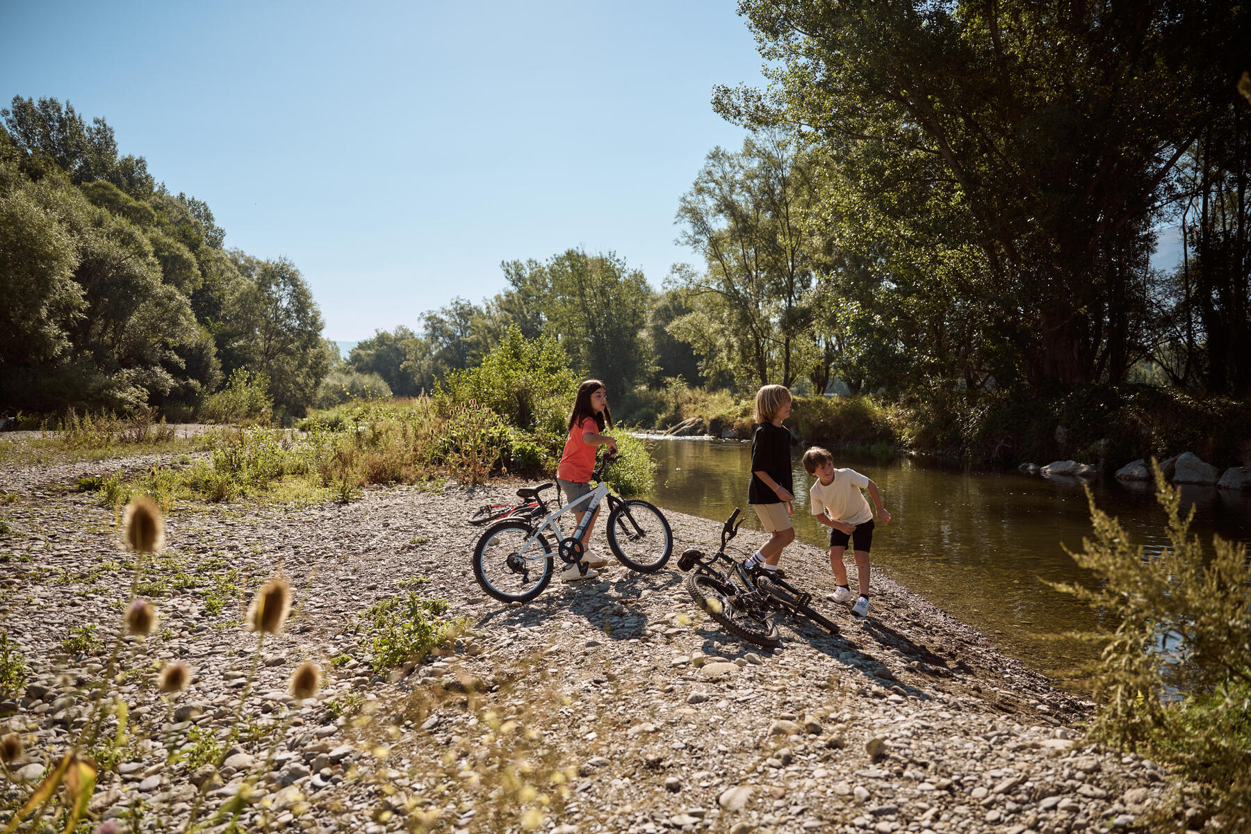 CIRCUIT VTT DANS LE MORBIHAN : PARTEZ À L'AVENTURE AVEC VOS ENFANTS !