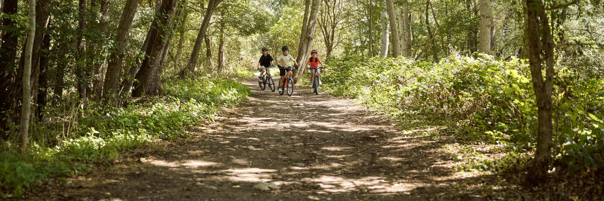 VOSGES : QUELS CIRCUITS VTT À FAIRE AVEC VOS ENFANTS ?