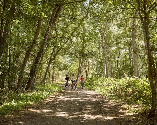 VOSGES : QUELS CIRCUITS VTT À FAIRE AVEC VOS ENFANTS ?