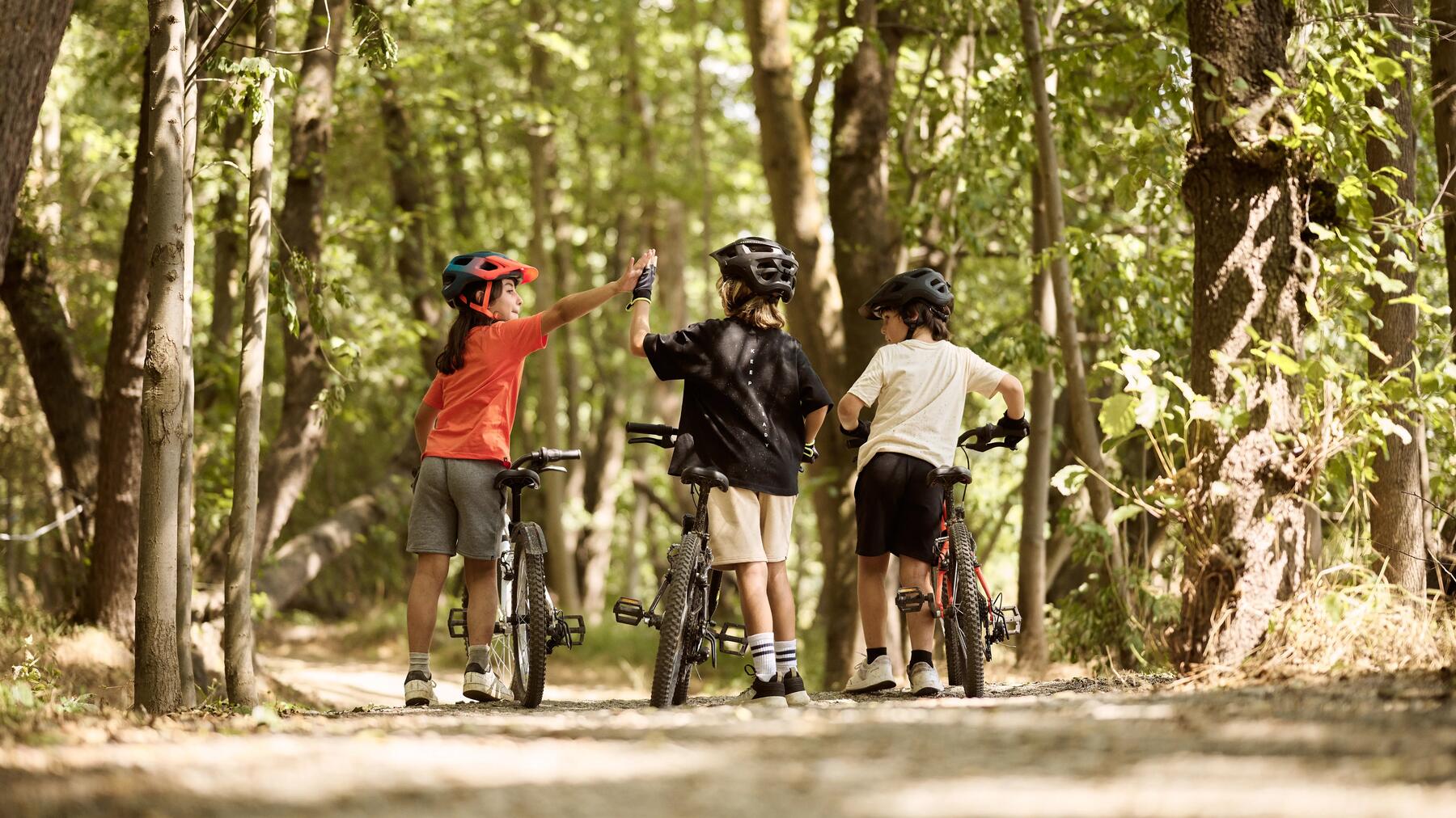 VOSGES : QUELS CIRCUITS VTT À FAIRE AVEC VOS ENFANTS ?