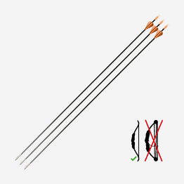 Fleches discovery 300 x3 carbone