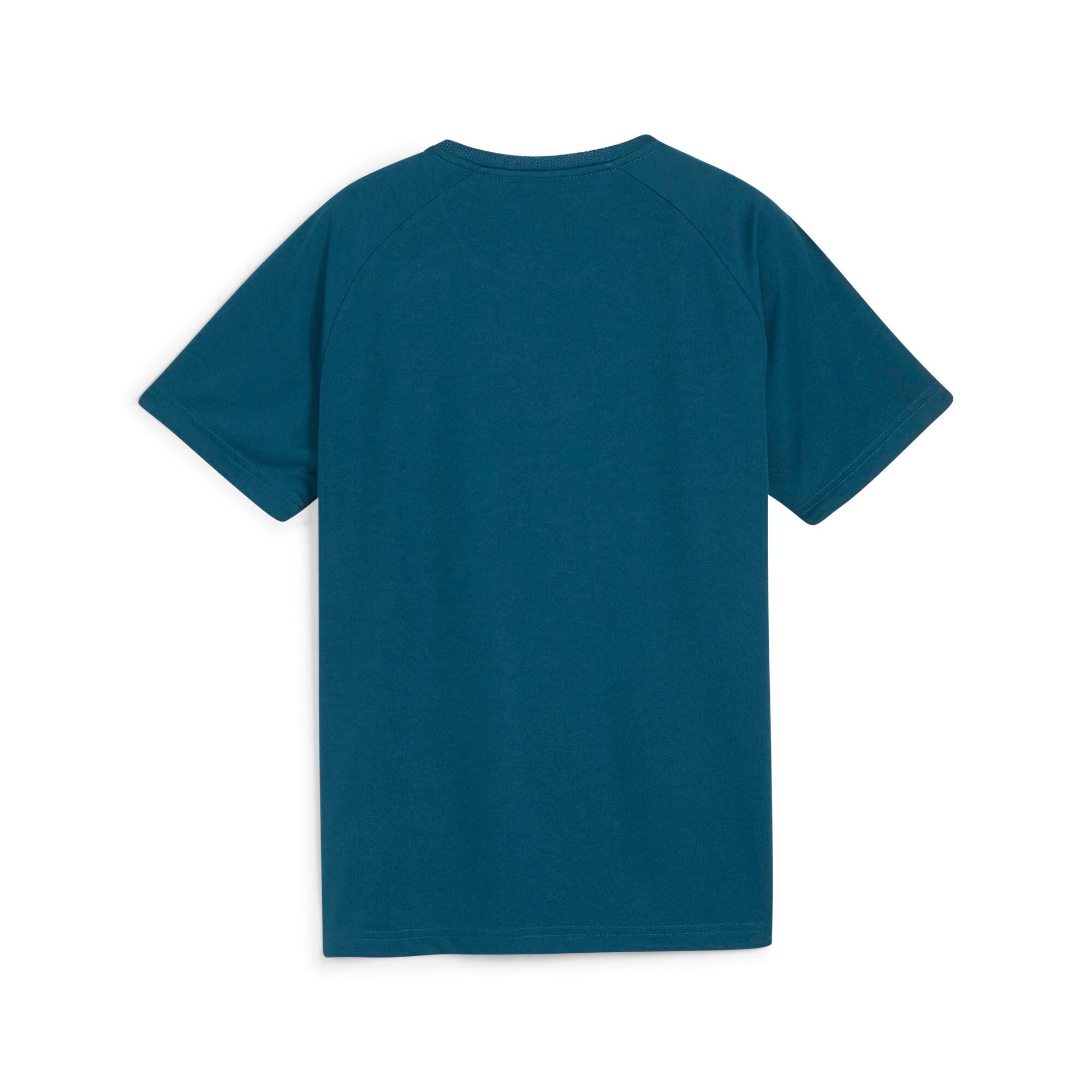 Camiseta Fútbol Puma TeamLiga Graphic Niños Azul 4/4