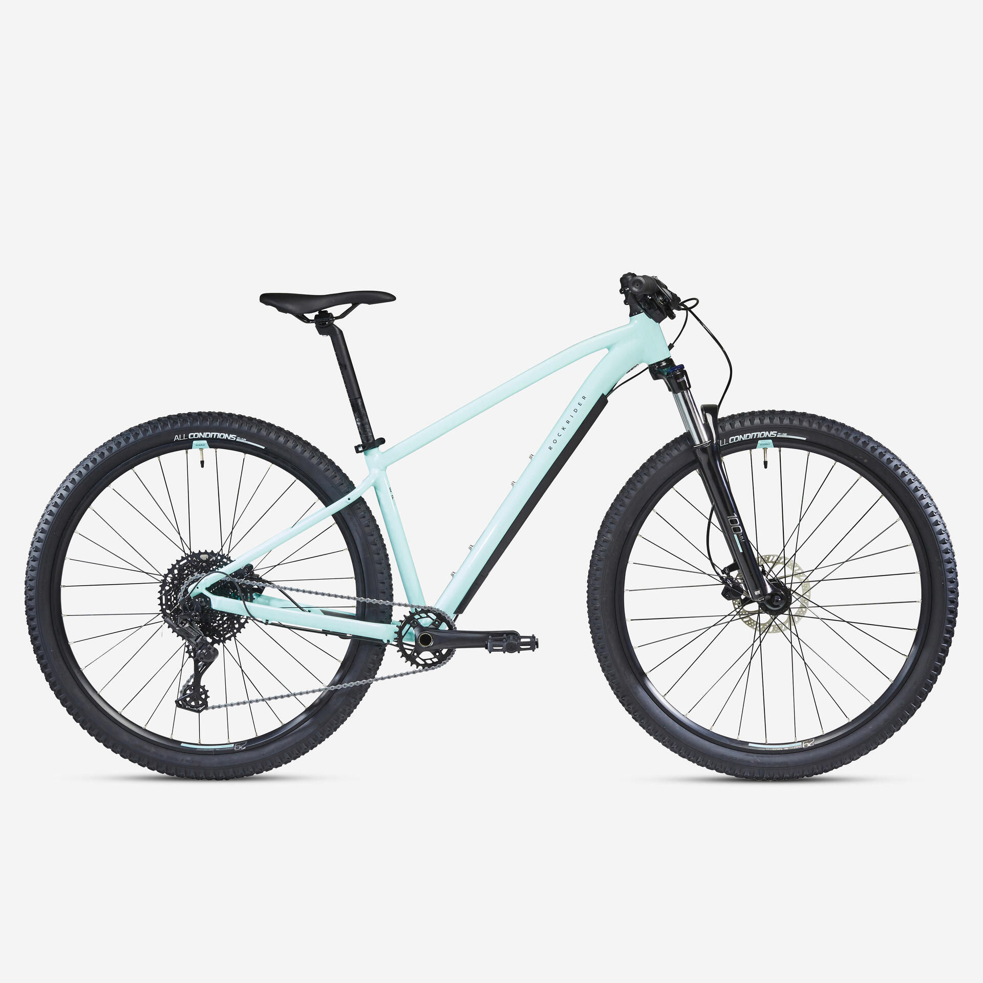 Hardtail mountain bike