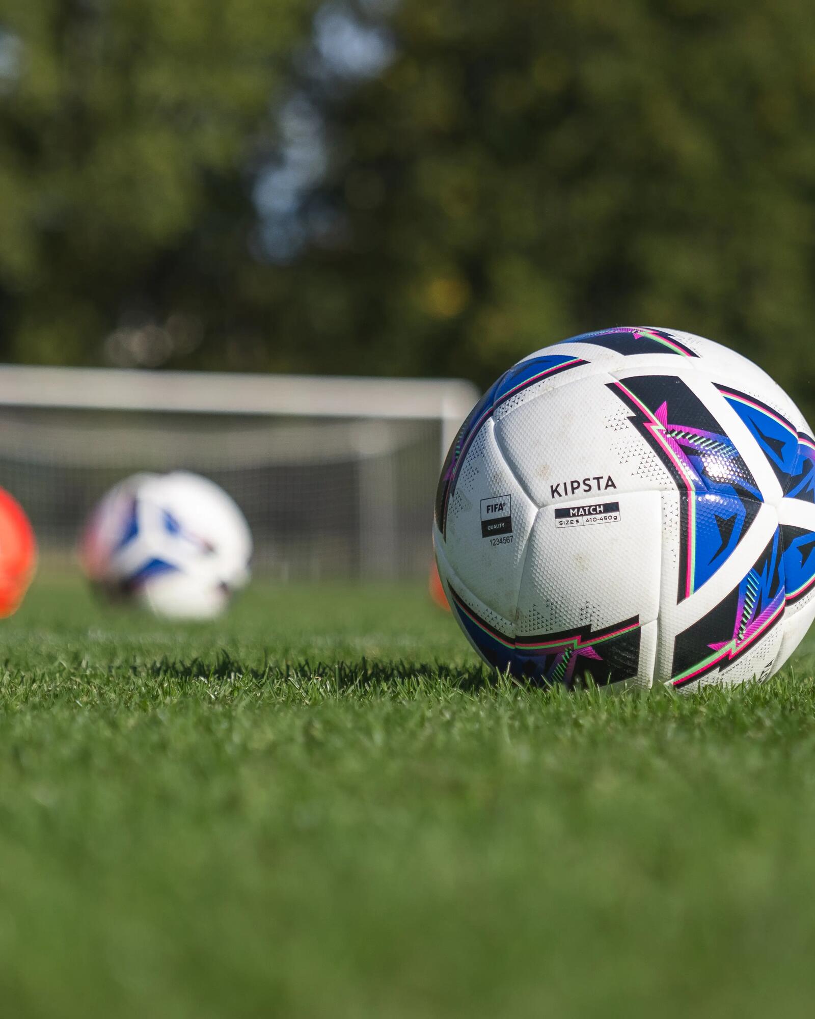 Palloni calcio