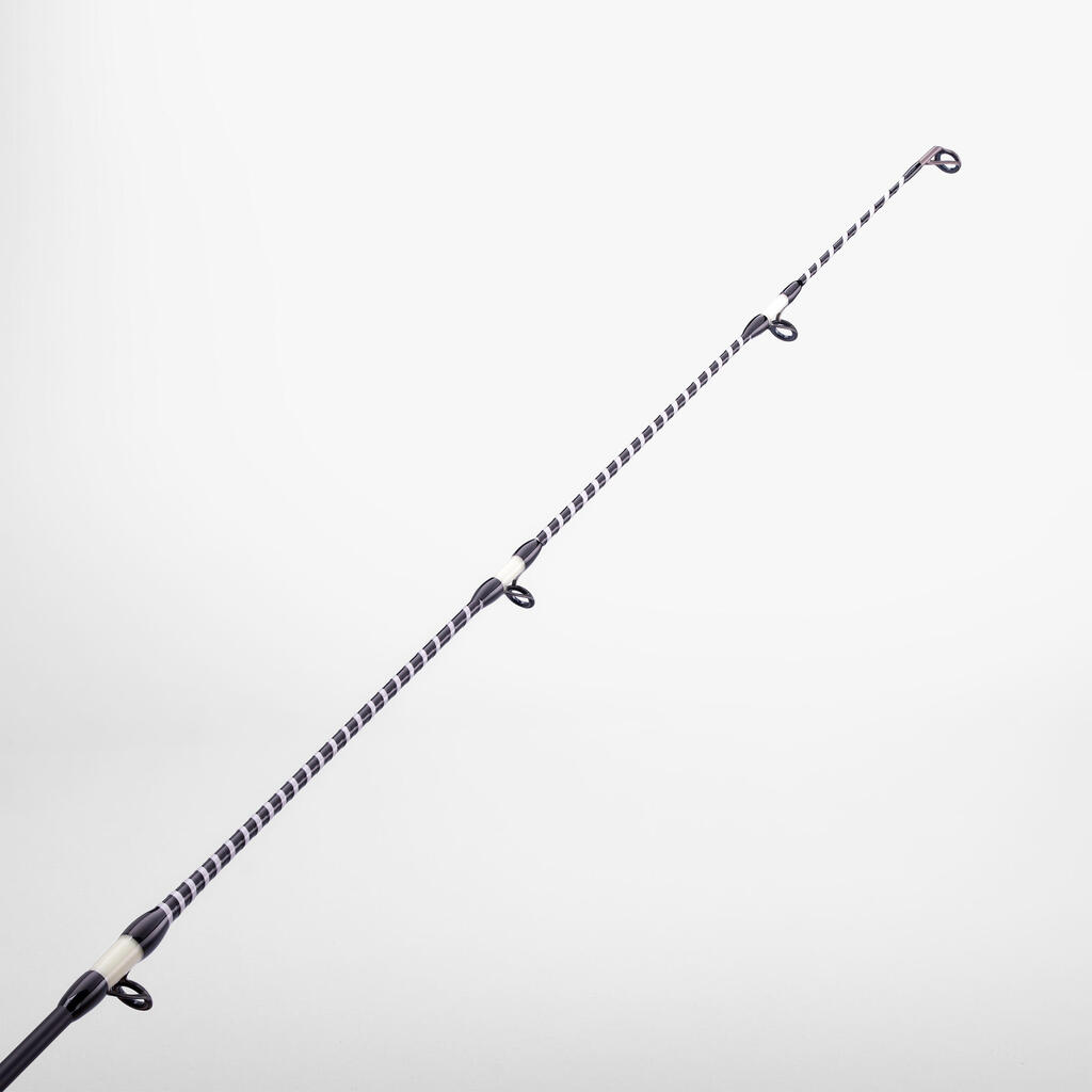 Canne surfcasting pêche en mer SYMBIOS 900 4.50m 100-250g Power