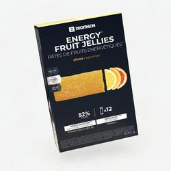 Pate de fruits énergétique ecosize agrumes 12x25g