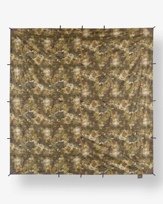 TARP