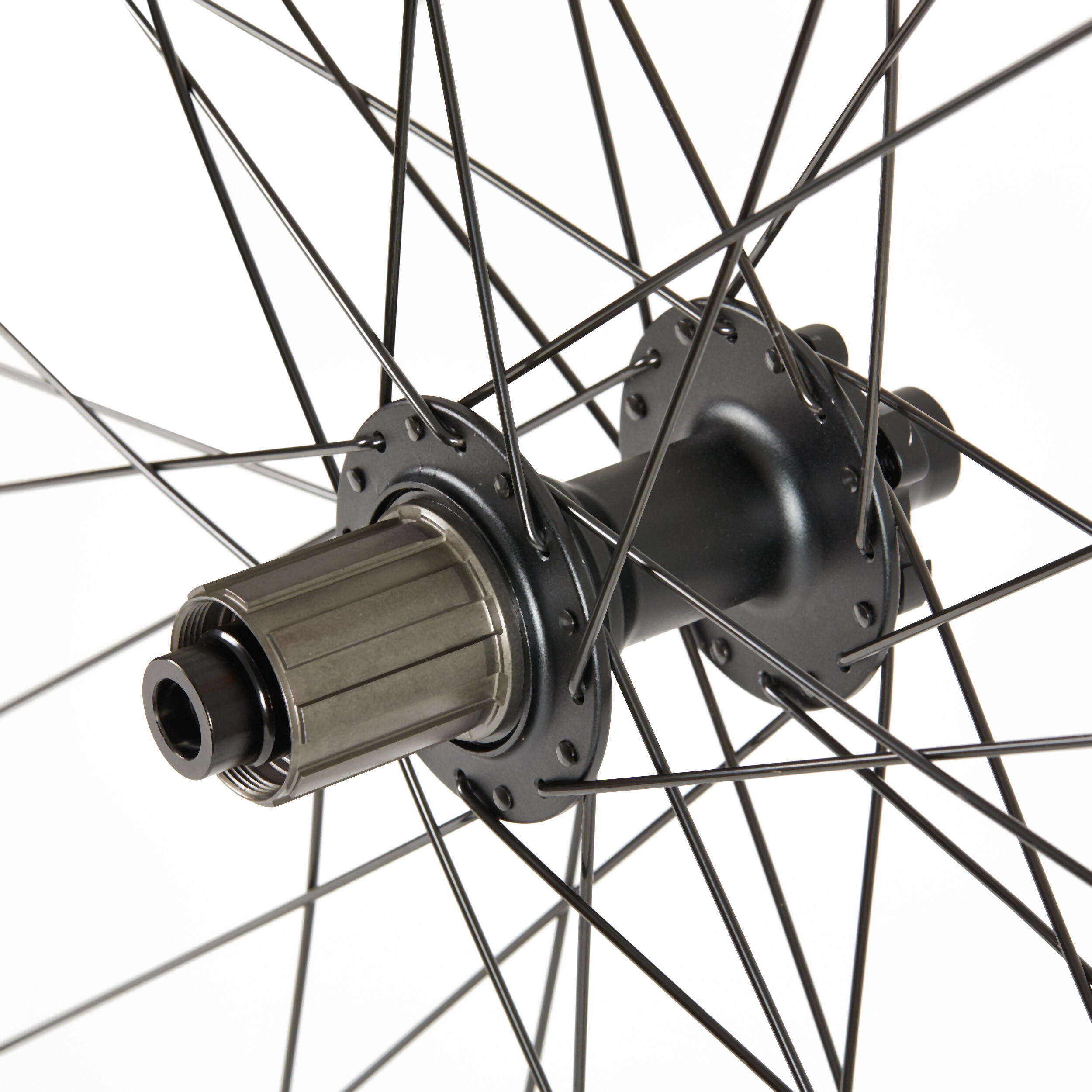 28 Zoll Hinterrad Mit Nexus Inter-8 Nabenschaltung - Komplettrad Für Citybike