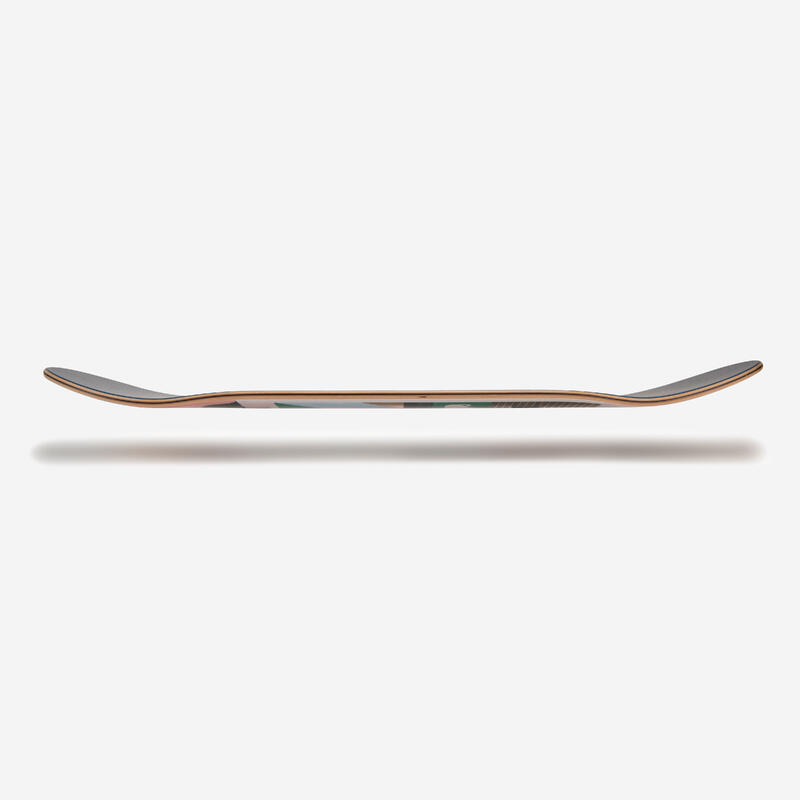 Placă Skateboard DK900 FGC 8,25" TOMALATER 