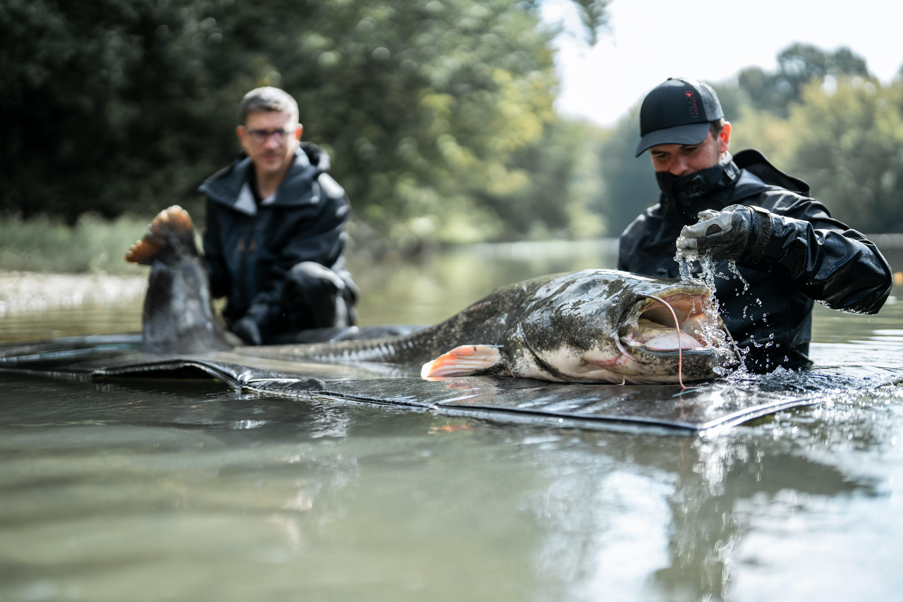 Abhakmatte SPCR 500 LM für grosse Fische  6/10