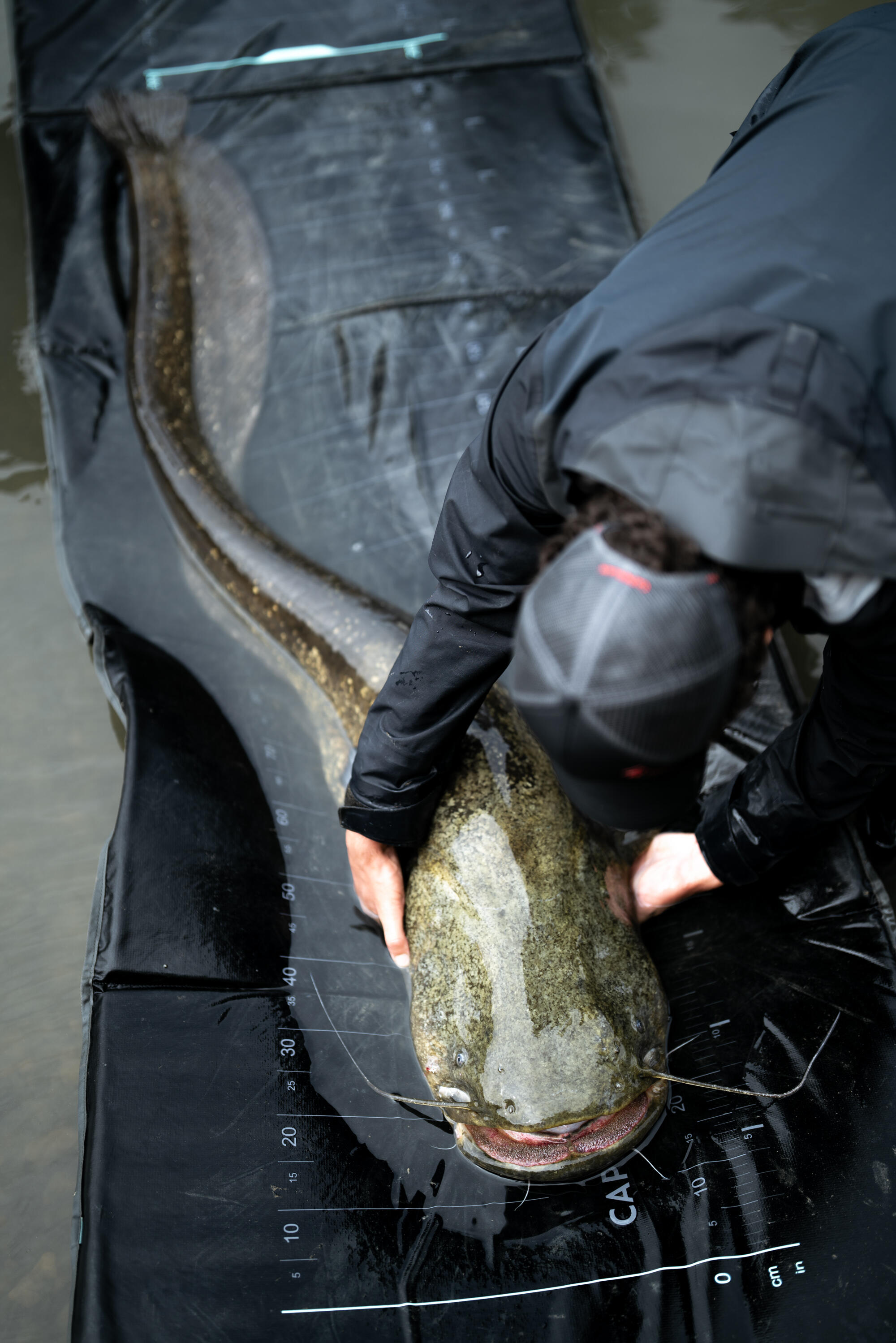 Abhakmatte SPCR 500 LM für grosse Fische  7/10