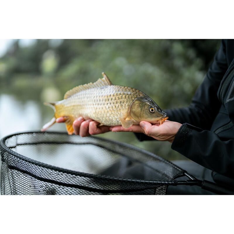 CABEÇA DE XALAVAR DE BORRACHA N 500 OVAL 0,5 m PARA PESCA DIRETA