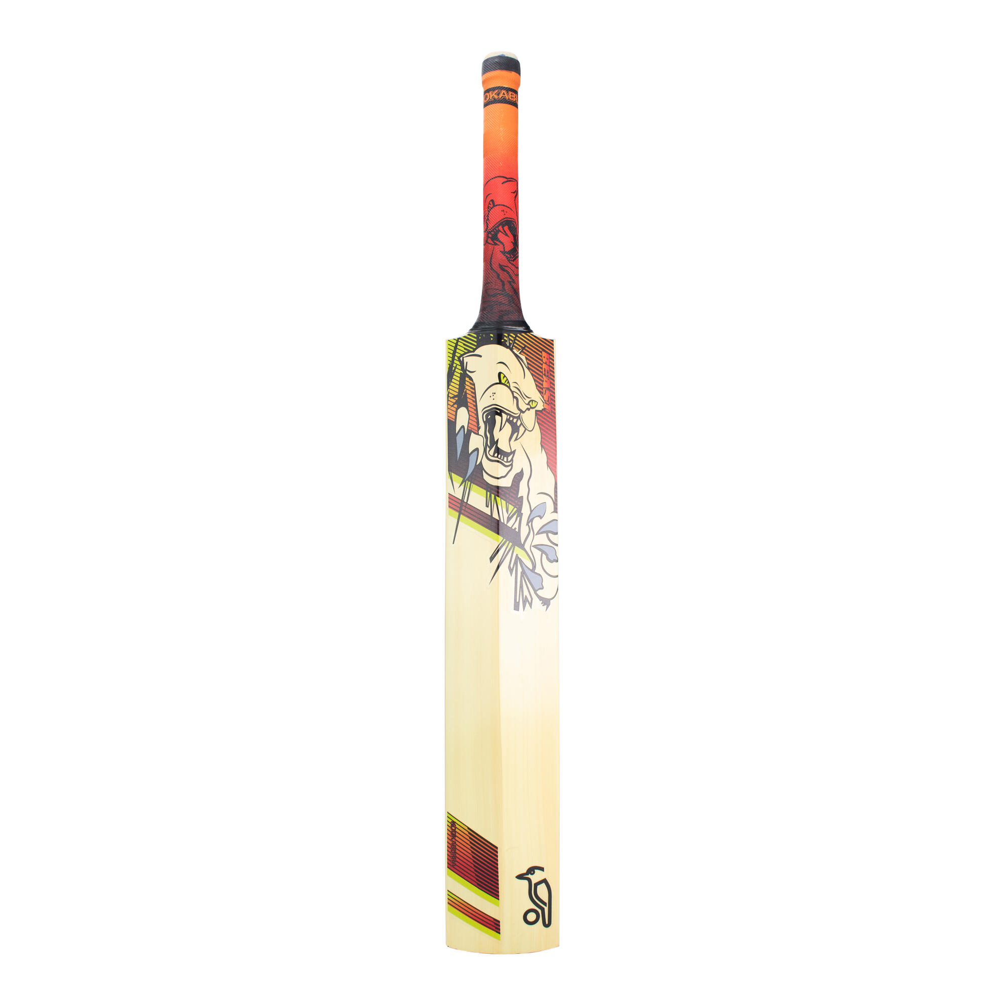 Kookaburra Beast 9.1 Kashmir Willow Cricket Bat sizes 2-6 4/6