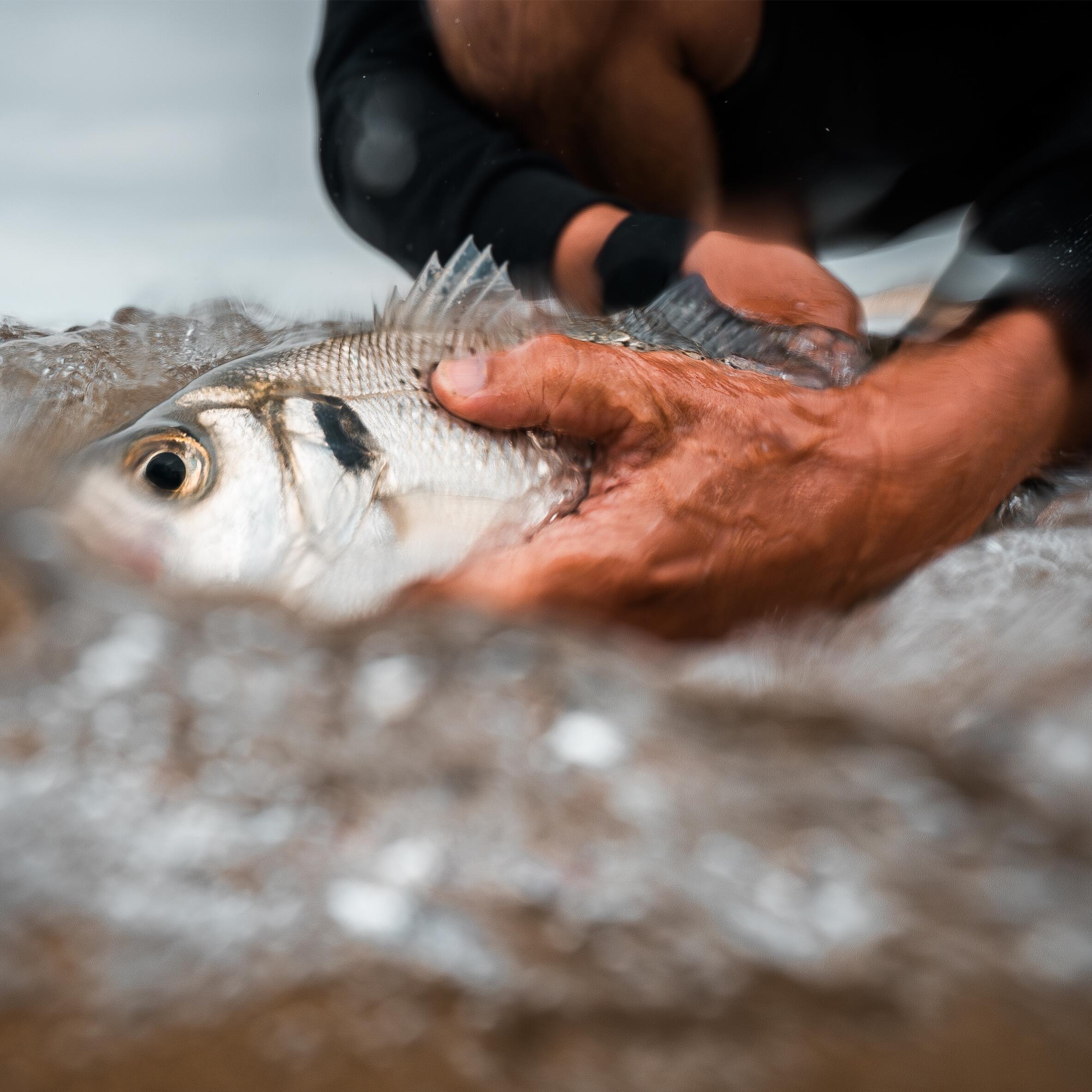 Canne surfcasting pêche en mer symbios 500 450 100-230 gr 13/15